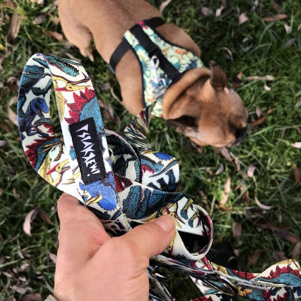 Dog Harness Jurassic Bark, Always Feeling Cool, Super Soft Psiakrew