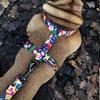 Dog Leash Winter is coming width 2.5 cm, 1"  wide, big black snap hook 8 cm