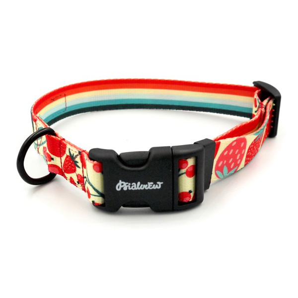 Verstellbares Halsband Fruit Jelly Psiakrew, 2,5 cm breit, schwarze Beschläge