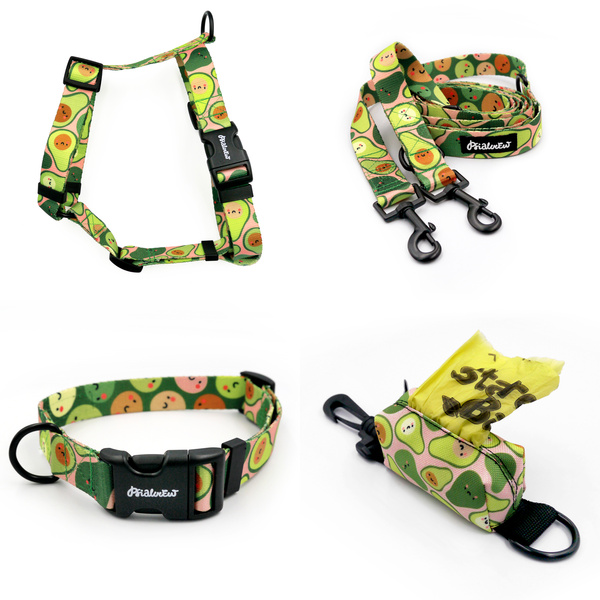 ZUBEHÖRSATZ. Mittlerer Hund. Guacamole Time Psiakrew - Serie; Halsband, Geschirr, Leine, Etui für Kotbeutel