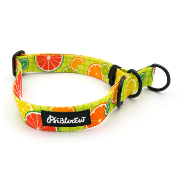 Half-choke collar Lemonade Psiakrew, 2.5 cm wide, medium and big dogs, black extras