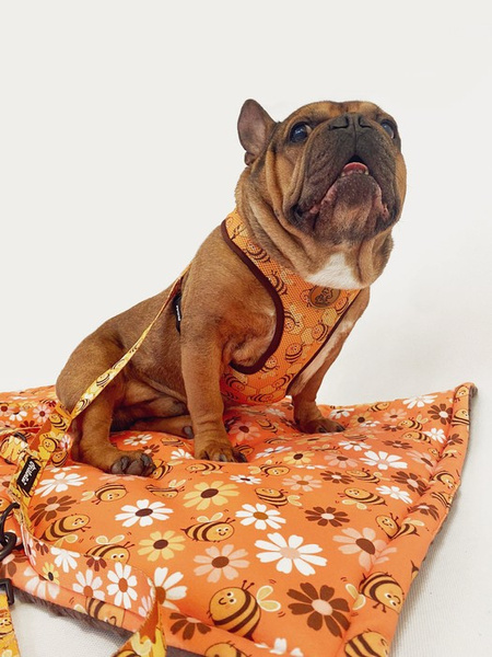 Dog Harness Busy Bees Psiakrew , Always Feeling Cool, Super Soft