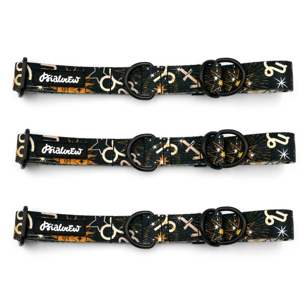 Halb-Klemmhalsband- Zodiak Psiakrew , 2,5 cm breit, für mittelgroße und größere Hunde, Schwarz-Beschläge, Psiakrew