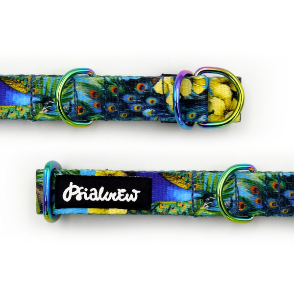 Half-choke collar Peacock's Eye Psiakrew, 2 cm wide, for small dogs, Holo extras
