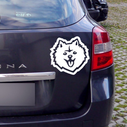 Spitz Psiakrew Hunde-Autoaufkleber für dunkle Karosserien