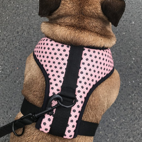 Dog Harness Dotty Dots, Always Feeling Cool, Super Soft Psiakrew