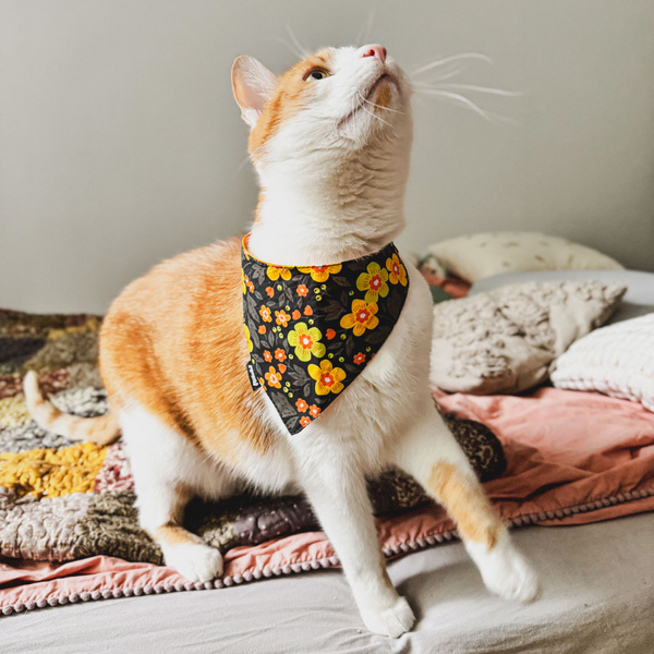 Dog Bandana Meadow Psiakrew handkerchief style to tie around your pet’s neck
