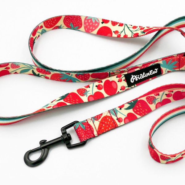 Walking leash for Dog Fruit Jelly Psiakrew, width 2 cm, black snap hook 6 cm