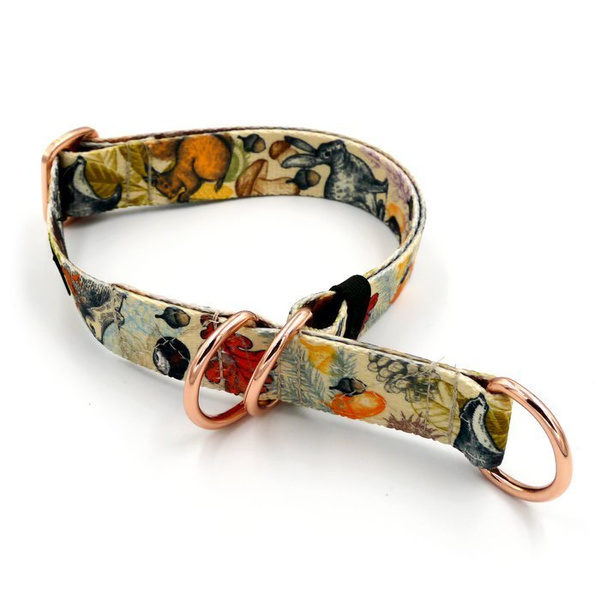 Half-choke collar Forest Treasures, 2.5 cm wide, medium and big dogs, rose gold