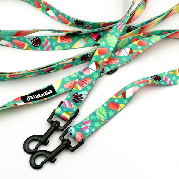 Long Dog Leash Ice Ice Baby Psiakrew width 2 cm (0.78"), black snap hook 6 cm