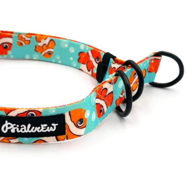 Halb-Klemmhalsband Blue Lagoon Psiakrew, 2,5 cm breit, für mittelgroße und größere Hunde, Schwarz-Beschläge