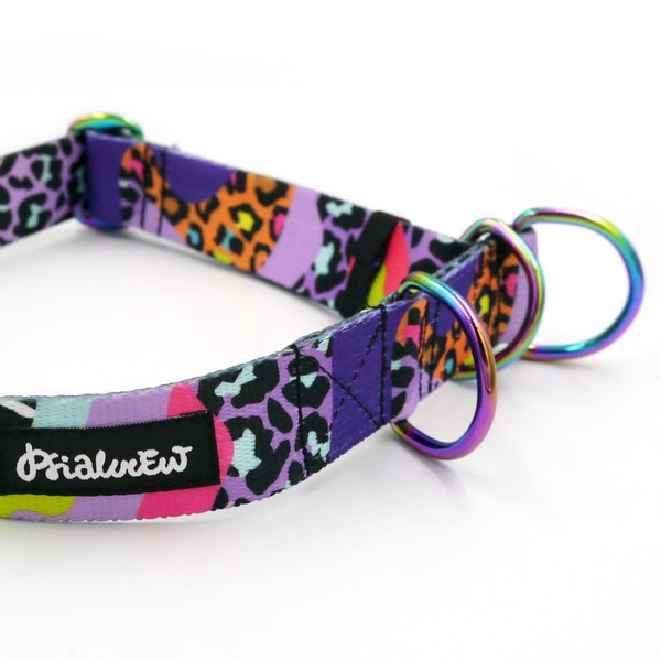 Crazy Leopard- Half-Clamp-Halsband, 3 cm breit, für mittlere und größere Hunde, holo Beschläge