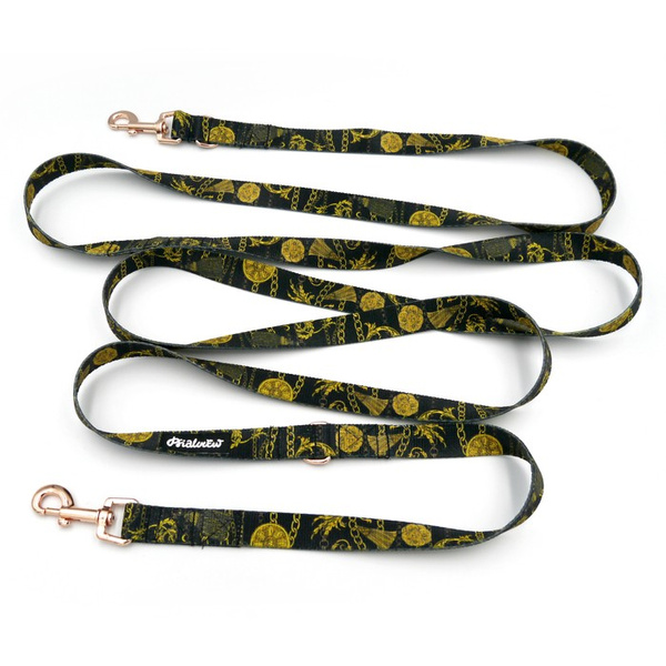 Smycz Dla Psa Przepinana Regulowana Donatella Psiakrew 2 cm karabińczyk 6cm różowe złoto