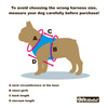 Dog Harness Blue Lagoon Psiakrew, Always Feeling Cool, Super Soft