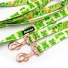 Dog Leash Green Frogs width 2.5 cm, 1" wide, pink gold, big snap hook 8 cm