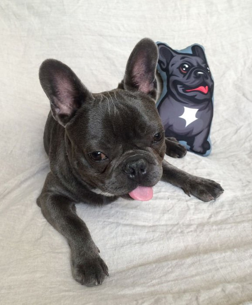 Decorative Dog Pillow Cushion French Bulldog black cuddly mascot