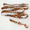 Dog Leash Tarzan width 2.5 cm, 1" wide, pink gold, big snap hook 8 cm
