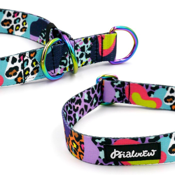 Halb-Klemmhalsband - Crazy Leopard - Psiakrew, 2,5 cm breit, Holo-Beschläge