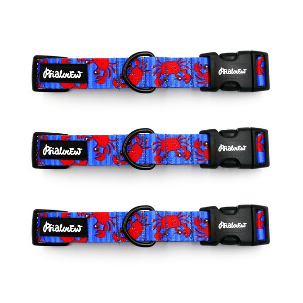 Dog Collar Psiakrew Sea Look 2.5 cm wide, black extras