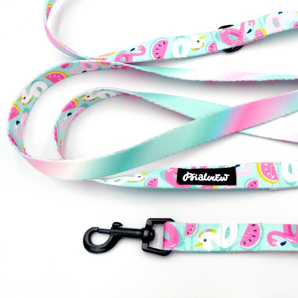 Long Dog Leash Azure Pool Psiakrew width 2 cm (0.78"), black snap hook 6 cm