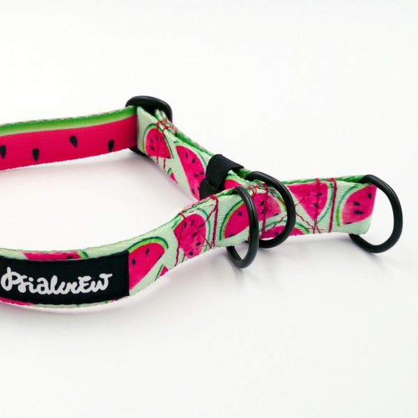 Half-choke collar Watermelon, 2 cm wide, for small dogs, black extras