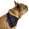 Hunde-Bandana Tartan Dunkelblaues Taschentuch zum Binden um den Hals Ihres Haustieres