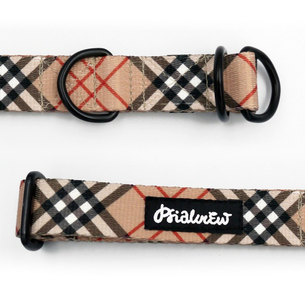 Halb-Klemmhalsband Dogberry Psiakrew, 2,5 cm breit, für mittelgroße und größere Hunde, Schwarz-Beschläge