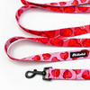 Dog Leash Lollipops Psiakrew width 2.5 cm, 1"  wide, snap hook black 6cm