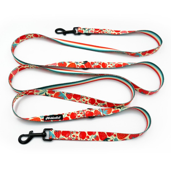 Long Dog Leash Fruit Jelly Psiakrew width 2 cm (0.78"), black snap hook 7 cm (3,15")