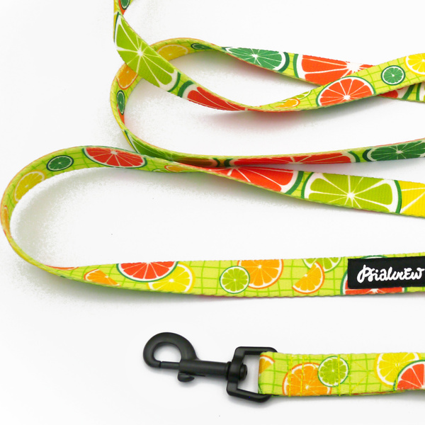 Long Dog Leash Lemonade Psiakrew width 2 cm (0.78"), black snap hook 6 cm
