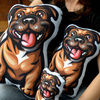 Poduszka Pies Staffordshire Bull Terrier Brązowy Psiakrew Przytulanka Maskotka Zabawka Pluszak 