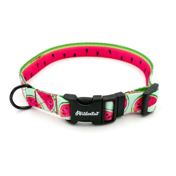 Dog Collar Watermelon Psiakrew, 2 cm 0.78"  wide, for smaller dogs black extras