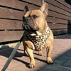 Dog Harness, Tarzan panthera pattern, Always Feeling Cool, Super Soft Psiakrew 