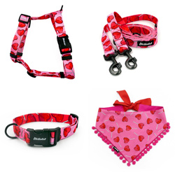 ZUBEHÖRSATZ. Großer Hund. Lollipops Psiakrew - Serie; Halsband, Geschirr, Leine, Bandana