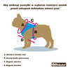Dog Harness Blue Lagoon Psiakrew, Always Feeling Cool, Super Soft