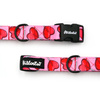 Dog Collar Lollipops Psiakrew, 2 cm 0.78"  wide, for smaller dogs