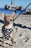 Dog Harness, Always Feeling Cool, Super Soft Psiakrew Checker