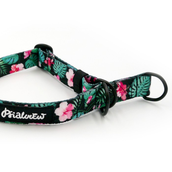 Half-choke collar Tropical Monstera, 2 cm wide, for small dogs, black extras