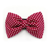Burgundy Dog Bow Tie with white polka dots, elegant classic Psiakrew bow