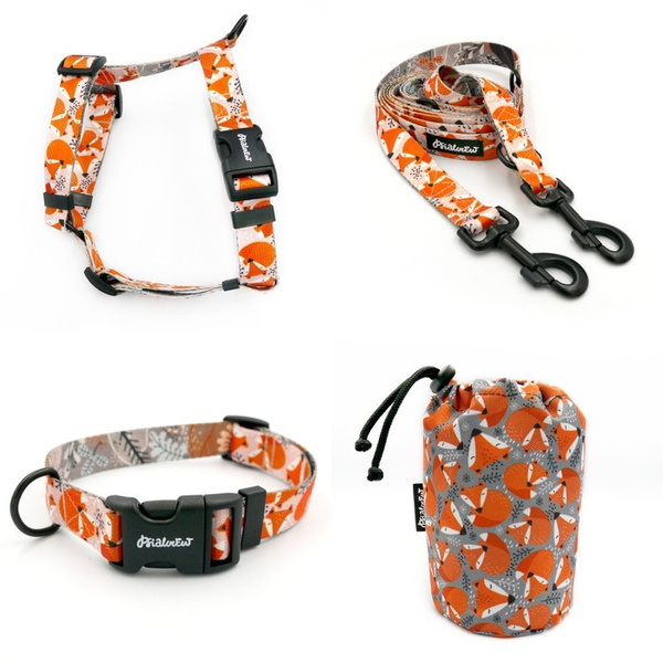 ACCESSORY KIT. Big dog. Foxy Lady Psiakrew Series; Collar, Harness, Leash, Sachet for dog treats