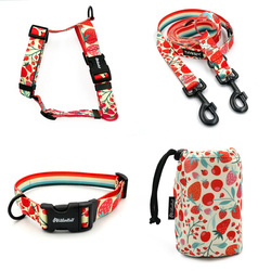ACCESSORY KIT. Big dog. Fruit Jelly Psiakrew Series; Collar, Harness, Leash, Sachet for dog treats