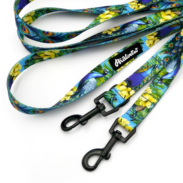 Smycz dla psa długa przepinana Pawie Oczko Psiakrew taśma 2 cm, czarny karabińczyk 6 cm