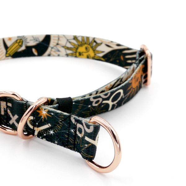 Half-choke collar Zodiak, 2.5 cm wide, medium and big dogs, golden extras