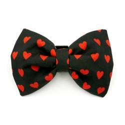 Schwarze Fliege mit Herzen zum Valentinstag des Hundes, Psiakrew