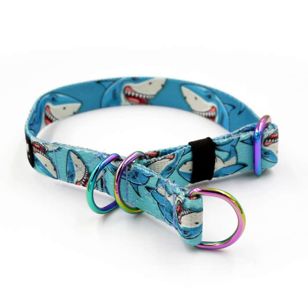 Half-choke collar Shark, 2 cm wide, for small dogs, Holo extras
