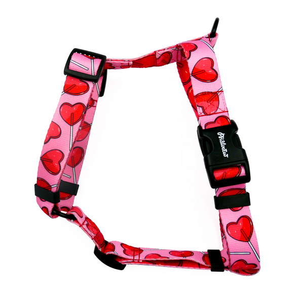 Guard Harness for Dog Lollipops Psiakrew, black extras