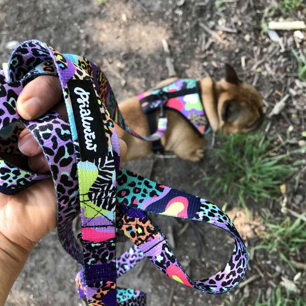 Dog Harness Crazy Leopard, Always Feeling Cool, Super Soft Psiakrew