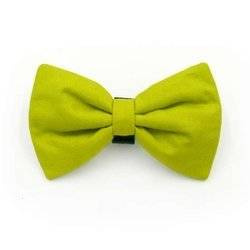 Dog Bow Tie Lime Pet Bow Tie, Bowtie, Collar Attachment