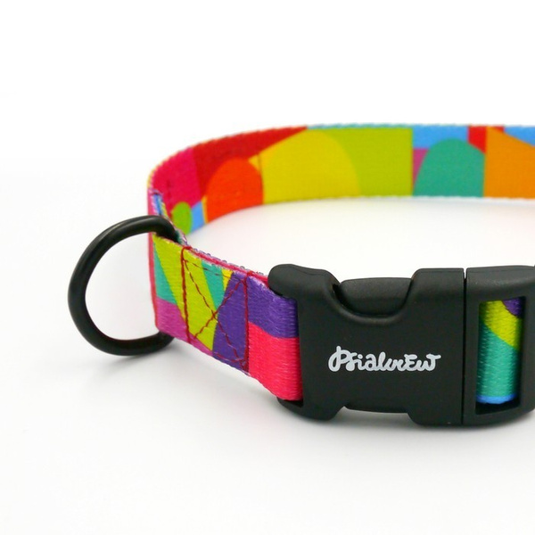 Dog Collar Kaleidoscope Psiakrew 2.5 cm 1"  wide, black fittings