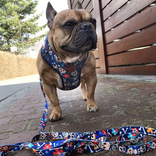 Dog Harness Día de los Muertos, Always Feeling Cool, Super Soft Psiakrew